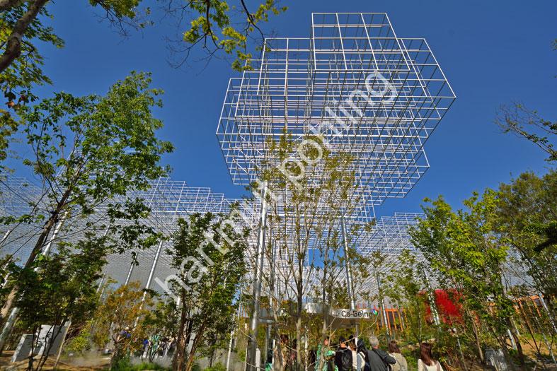 SANAA-EXPO2025-BETTER-CO-BEING-PAVILION03