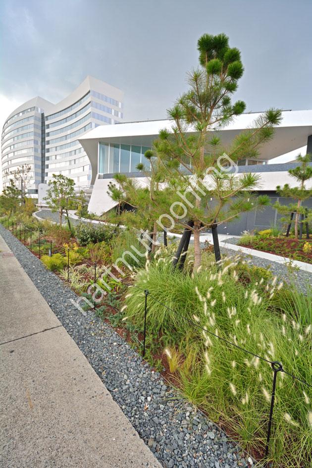 KLEIN-DYTHAM-HOSHINO-RESORTS-RISONARE03