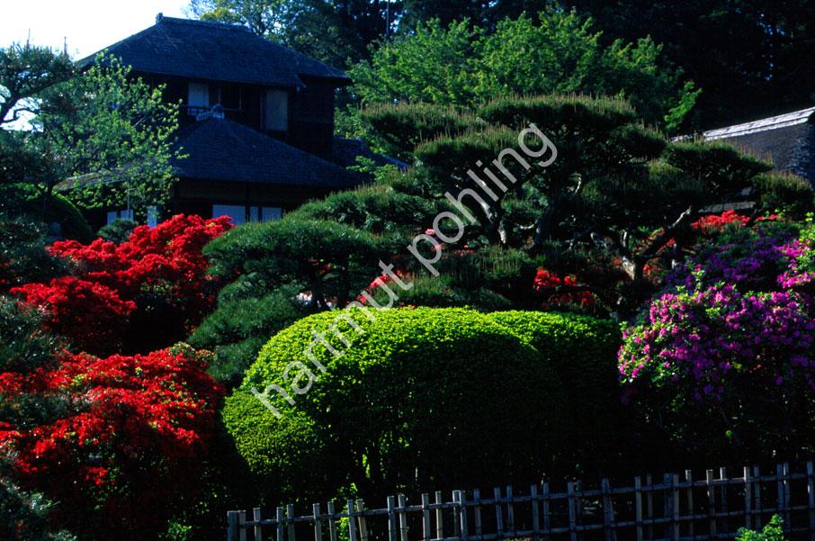 JAPANESE-GARDEN-KAIROKU-EN-MIT08