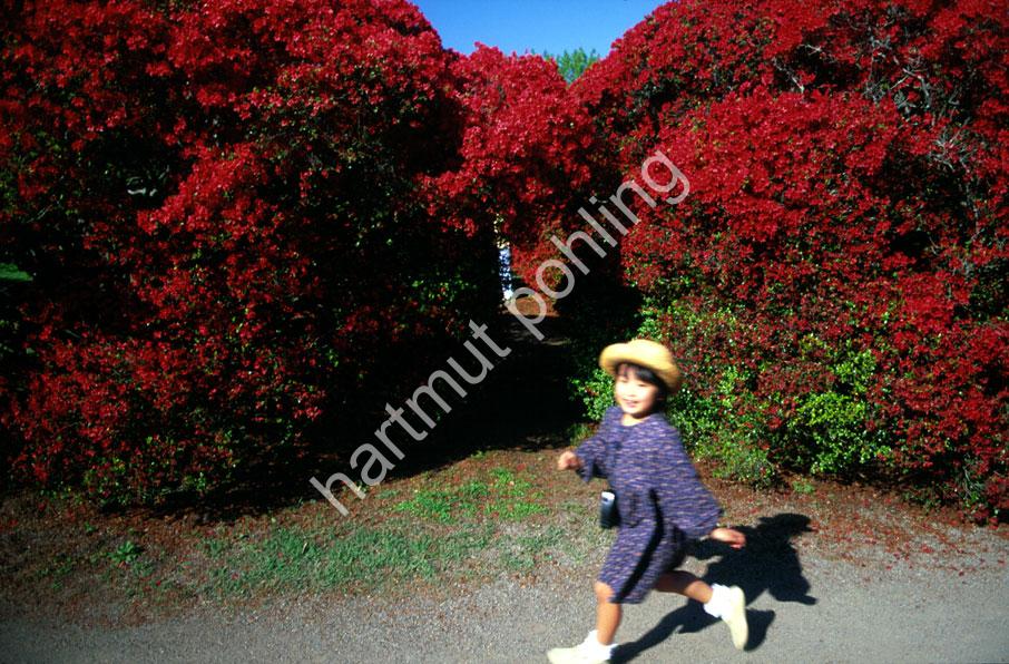 JAPANESE-GARDEN-KAIROKU-EN-MIT09