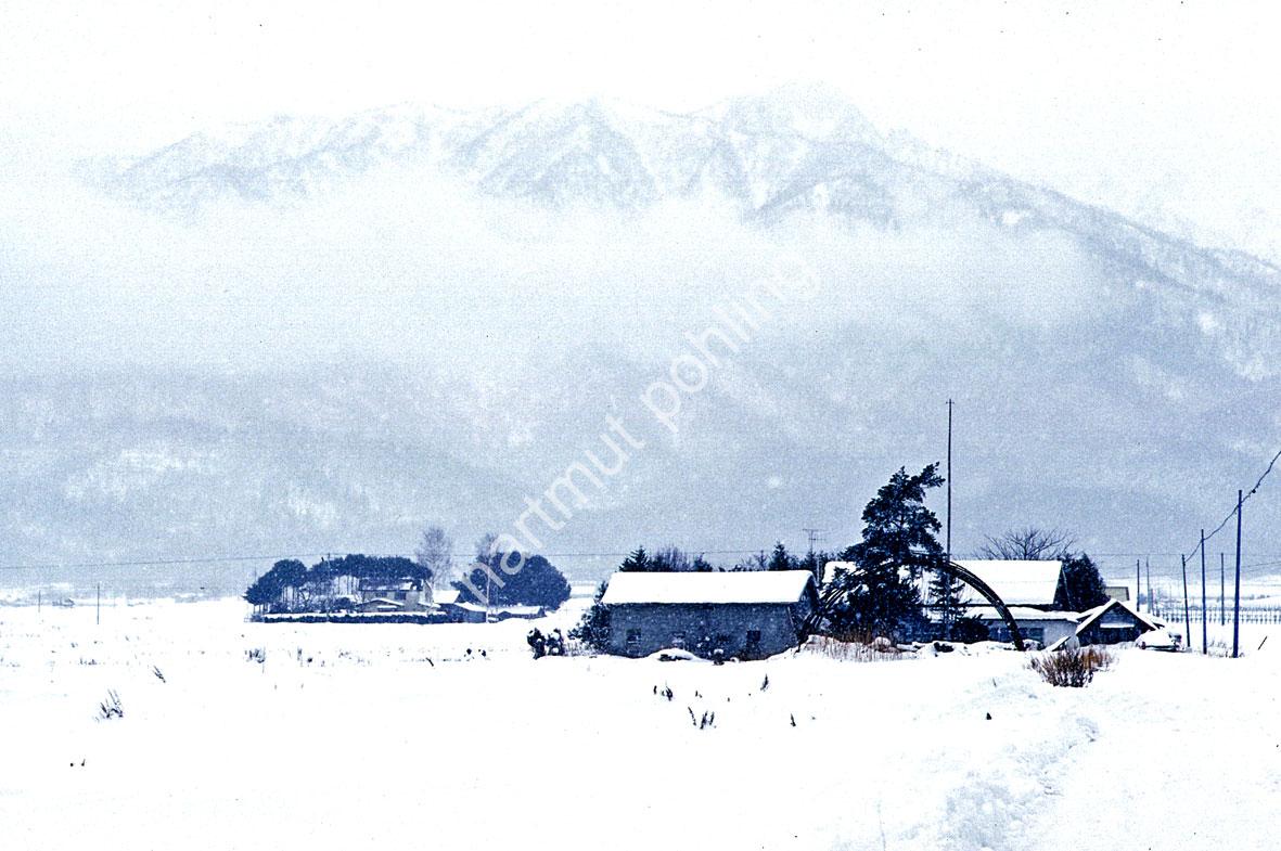 JAPAN-STADT-FURANO-RESETTLED-FARM03