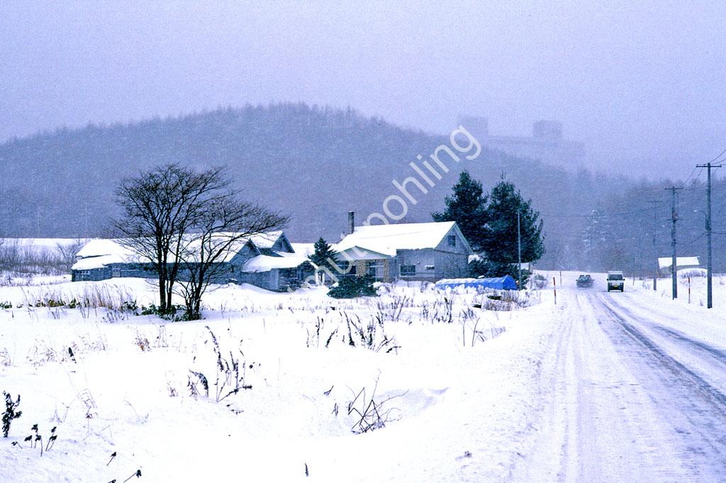JAPAN-STADT-FURANO-RESETTLED-FARM04