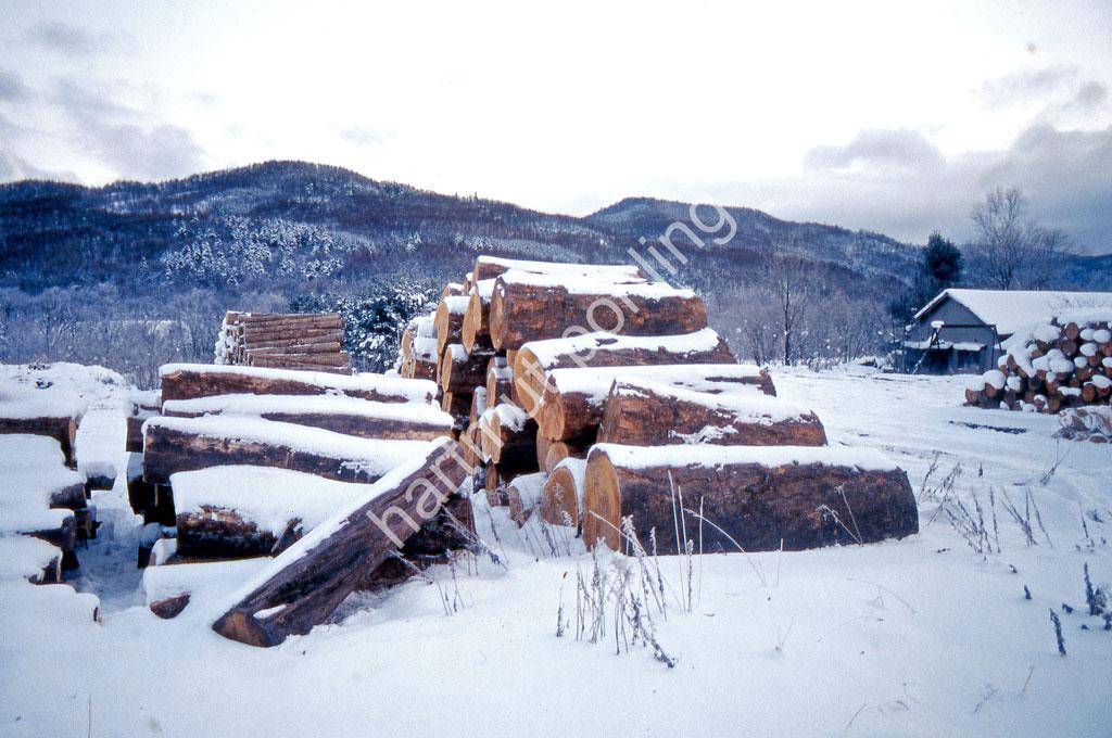 JAPAN-STADT-FURANO-WOOD-STOCK