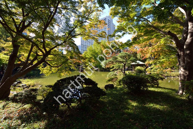 JAPANESE-GARDEN-HIBIYA-KOEN04