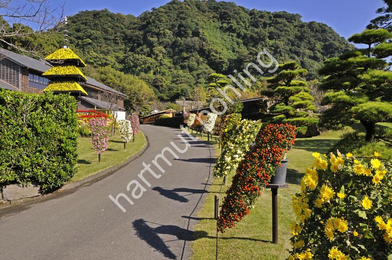JAPANESE-GARDEN-SENGAN-EN-CHRYSANTHEMUM-FESTIVAL