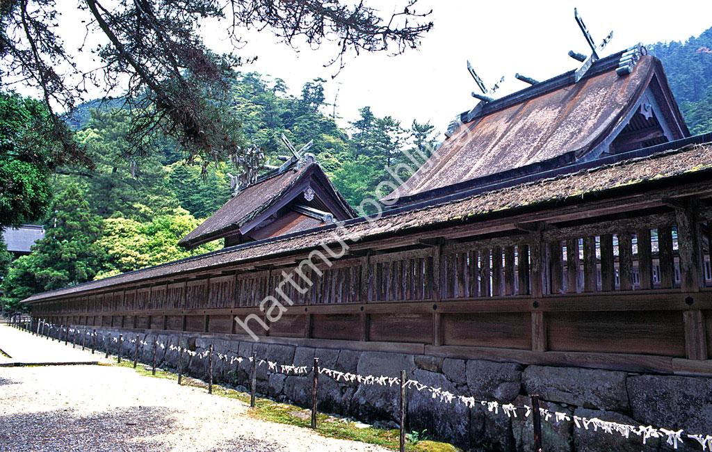JAPANESE-SHRINE-IZUMO-TAISHA05