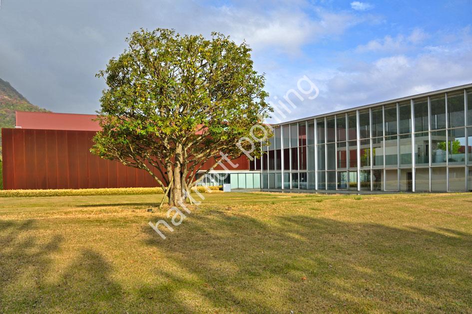 MAKI-FUMIHIKO-SHIMANE-MUSEUM-OF-ANCIENT-IZUMO02