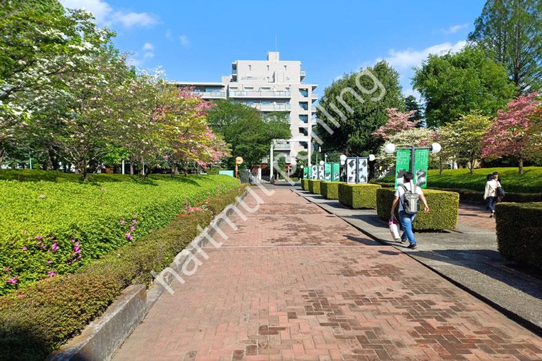 ASHIHARA-YOSHINOBU-MUSASHINO-ART-UNIVERSITY02